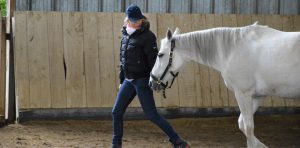 Équicoaching : Qilin propose un coaching authentique pour transformer sa relation à l’autre et son leadership